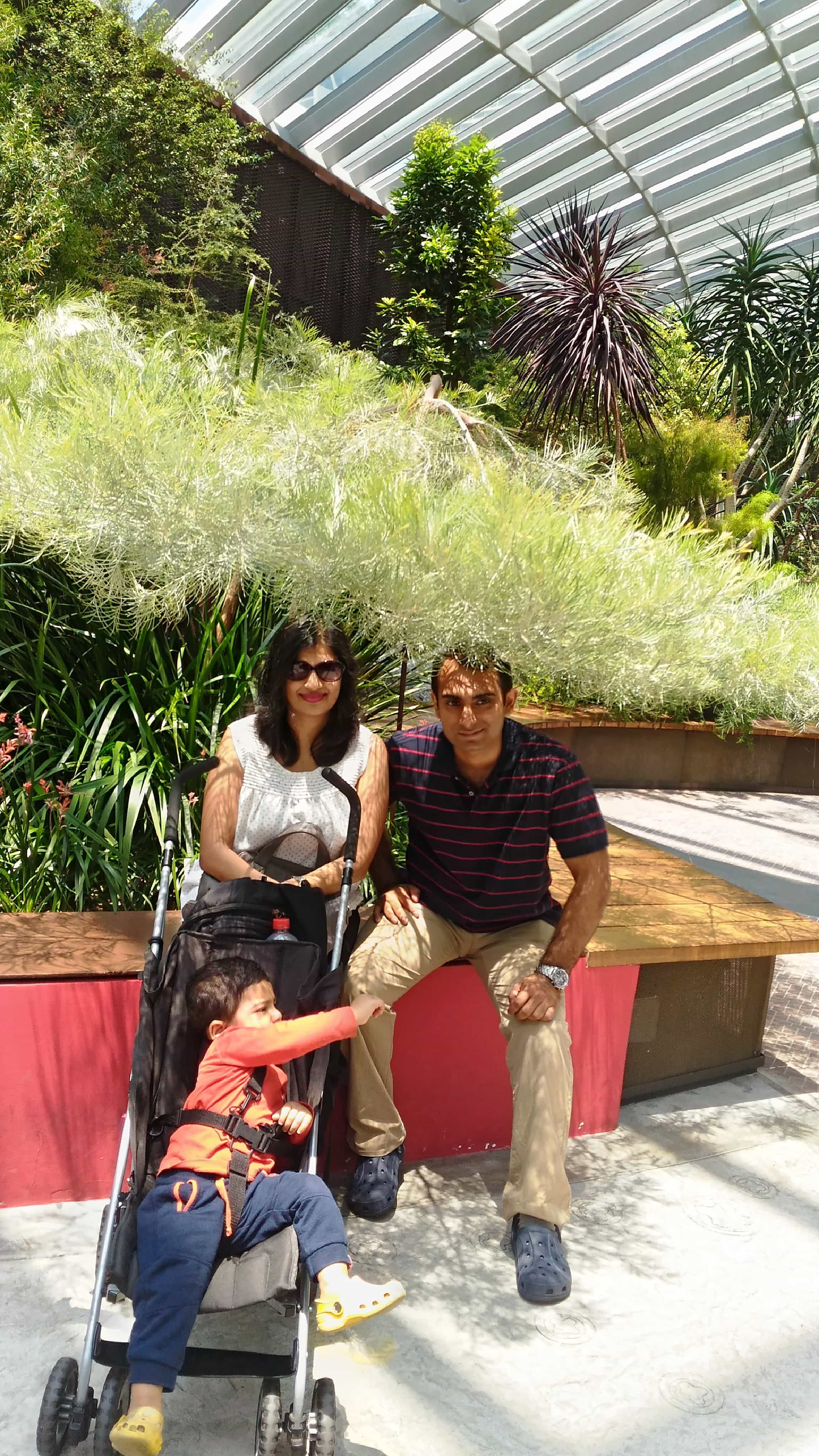 Flower Dome-Gardens By the Bay